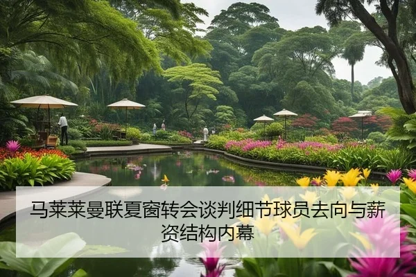 马莱莱曼联夏窗转会谈判细节球员去向与薪资结构内幕