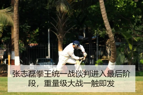 张志磊拳王统一战谈判进入最后阶段，重量级大战一触即发（KY）